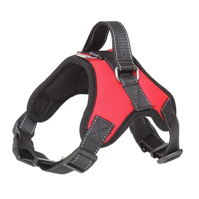 Harnais anti-traction pour petit chien – Confort sans étouffement