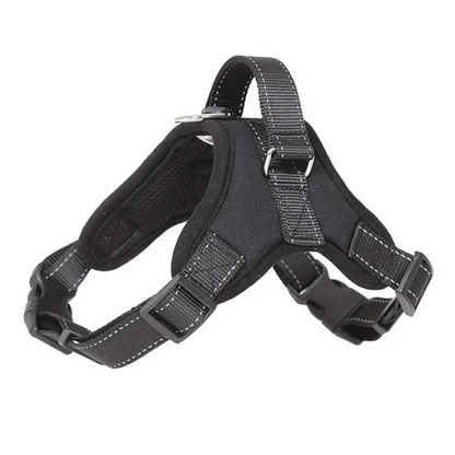 Harnais anti-traction pour petit chien – Confort sans étouffement