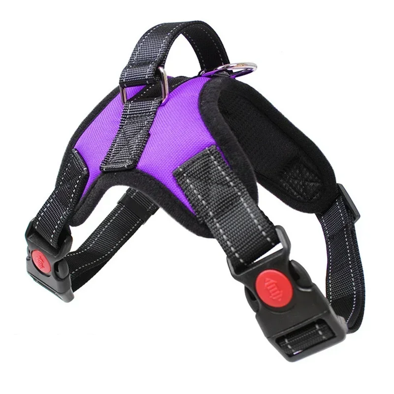 Harnais anti-traction pour petit chien – Confort sans étouffement