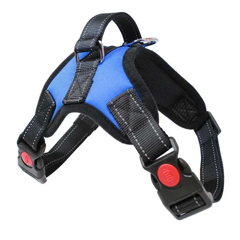 Harnais anti-traction pour petit chien – Confort sans étouffement