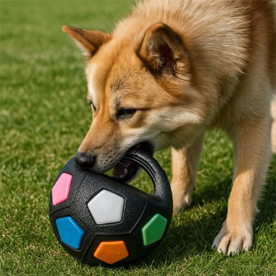 Jouet chien contrastes visuels multiples pour attirer l'attention canine