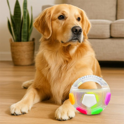 Jouet chien stimulation physique et mentale
