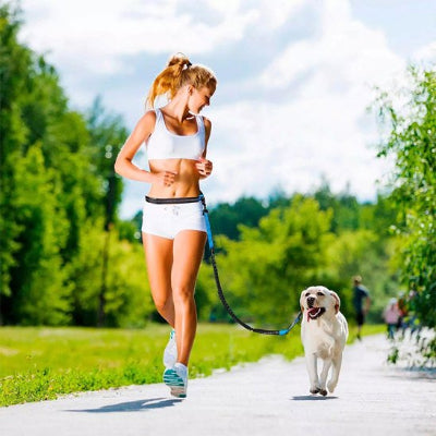 Laisse chien main libre performance sportive