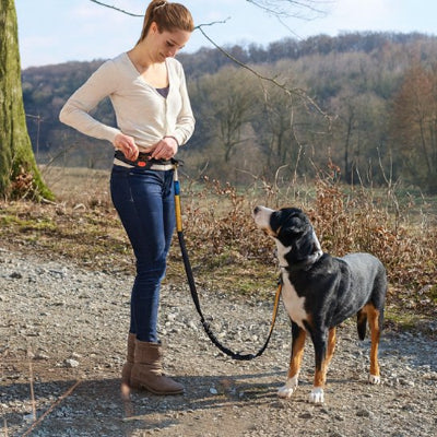 Laisse chien main libre réglable avec ceinture
