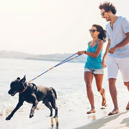 laisse-double-pour-chien-actif