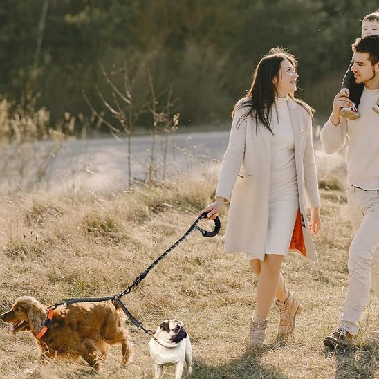 laisse double pour chien longueur ajustable 