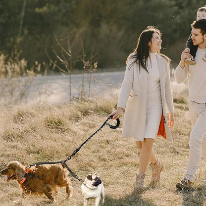 laisse double pour chien longueur ajustable 