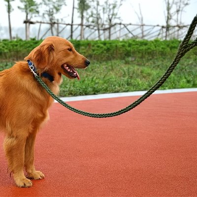 laisse pour chien corde de traction