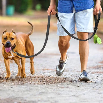 laisse pour chien differente longueur