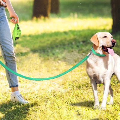 laisse pour chien double corde de traction