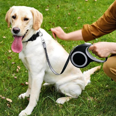 Laisse pour chien enrouleur adaptee a tous les chiens