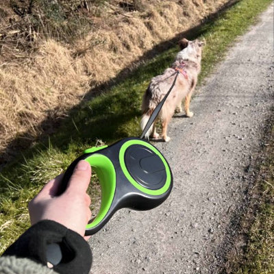 laisseb pour chien enrouleur collier a  roulette  pour petit chien