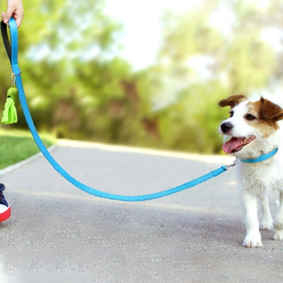 laisse pour chien poignee rembourree confortable