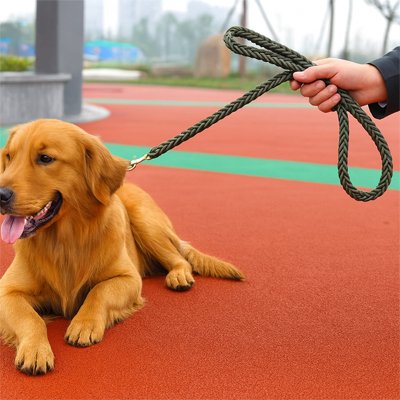 laisse pour chien ultra tresse differente couleur