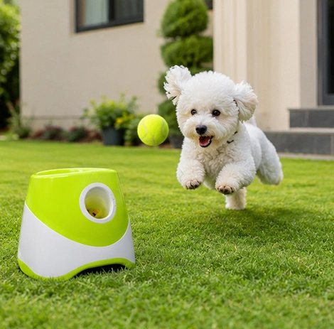 Lanceur de balle pour Chien distance de lancement réglable