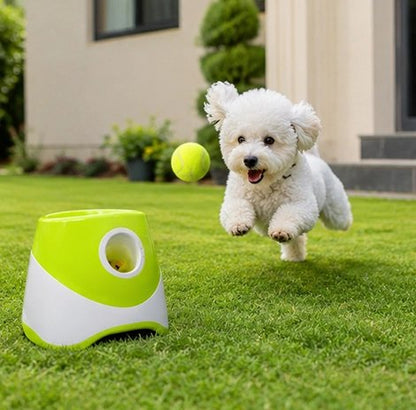 Lanceur de balle pour Chien distance de lancement réglable