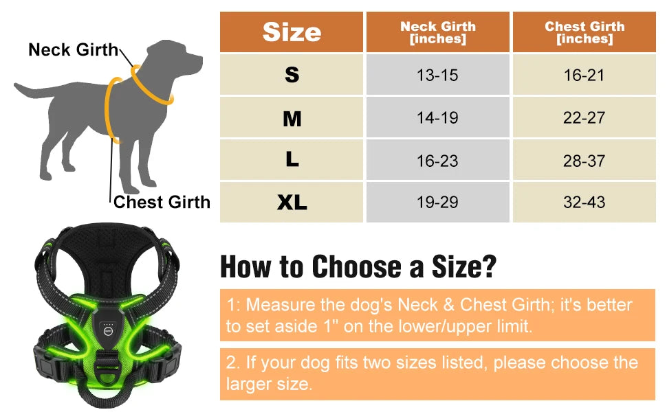 Harnais lumineux pour chien led | Sécurité nocturne