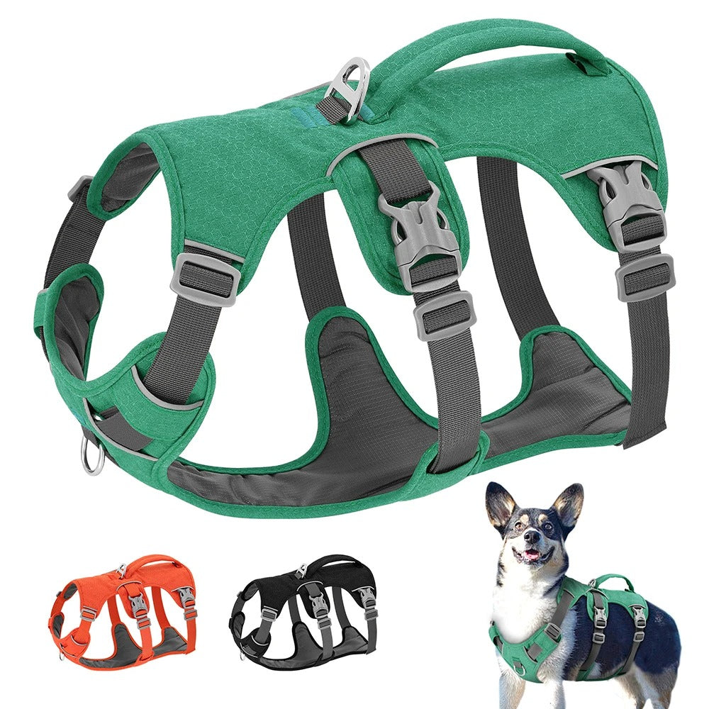 Harnais pour chien confortable et anti-traction | Complice