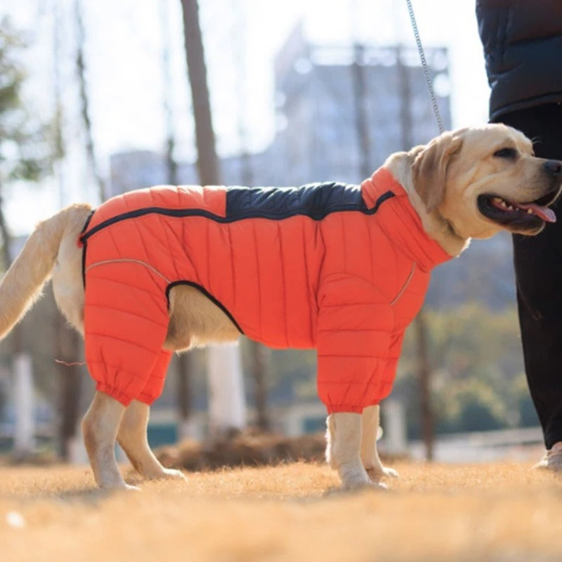 Manteau chien | Cosy Winter