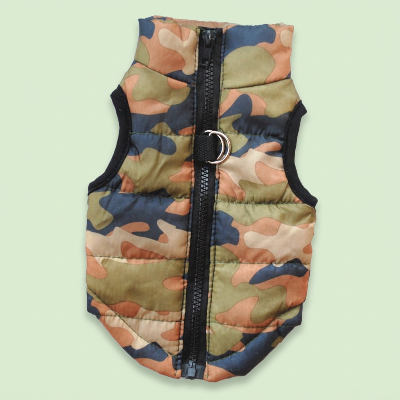 Chien manteau |  Picotou