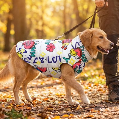 Manteau chien avec motifs colorés variés
