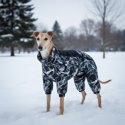 Manteau chien facilité d'enfilage