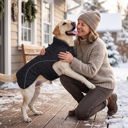 Manteau Chien nettoyage simple 