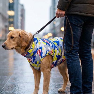 Manteau chien ouvertures pour pattes ajustables