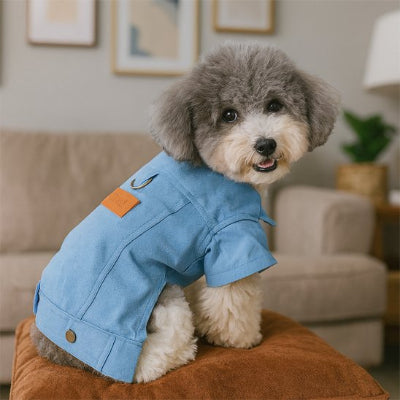 Manteau chien pour de belle sortie