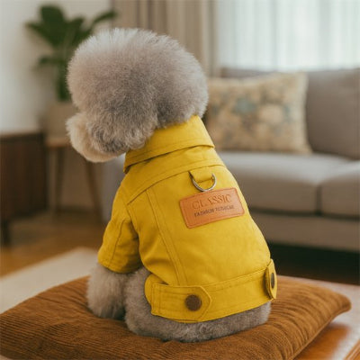 Manteau chien tenue printanière pour chien