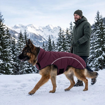 Manteau Chien veste d'hiver imperméable 