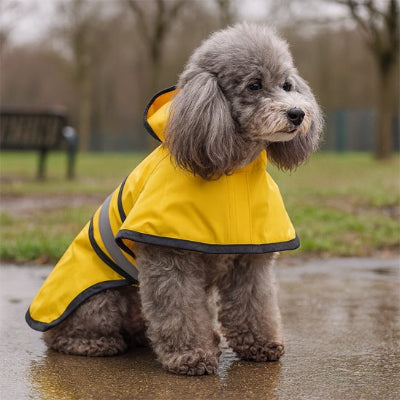 Manteau pour chien coupe-vent 