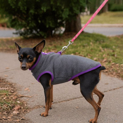 Manteau pour Chien délicat et chaud