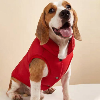 Manteau pour chien doublure polaire en coton