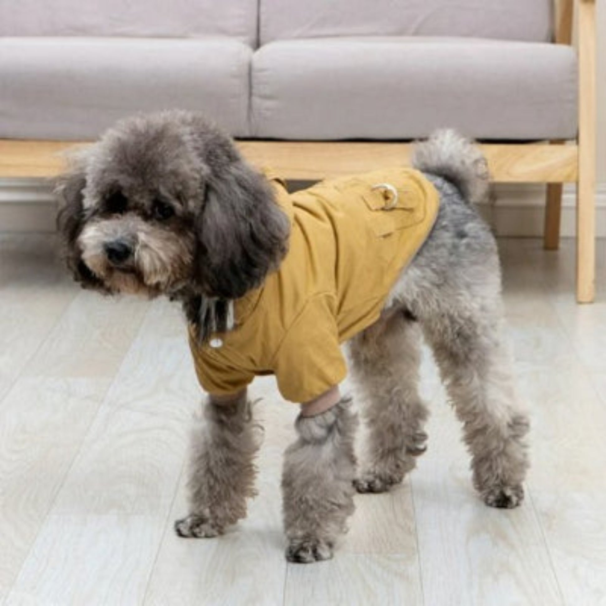 Manteau pour chien facile a enfiler
