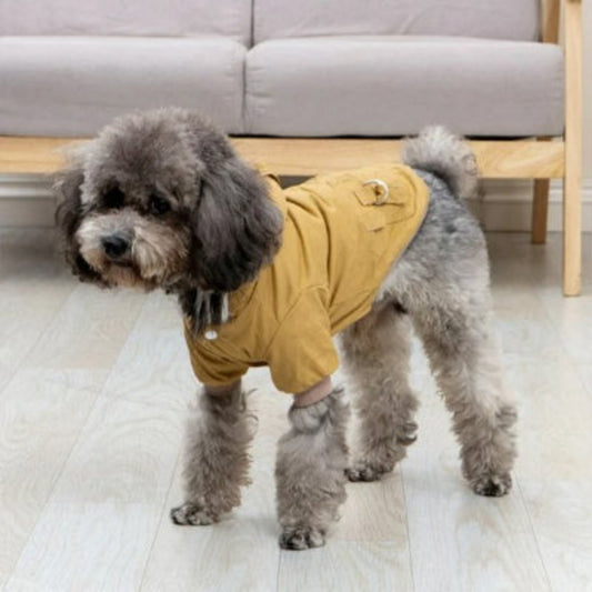 Manteau pour chien facile a enfiler