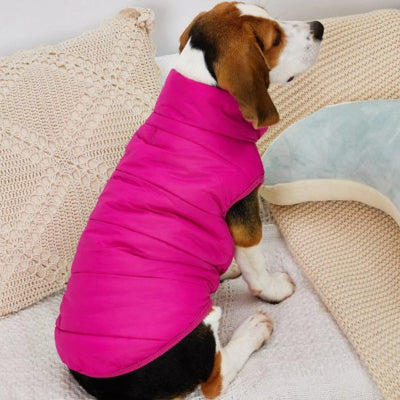 Manteau pour chien idéale pour les chiots (Chihuahua etc )