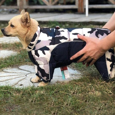 Manteau pour chien imperméable à l'aise sous la pluie.