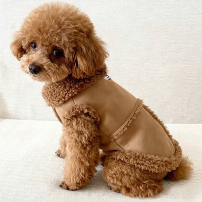 Manteau pour petit chien anneau de fixation