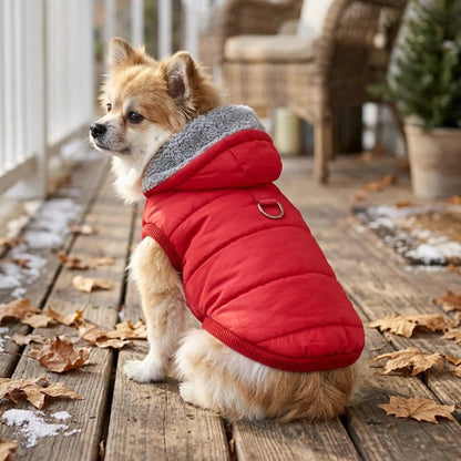 Manteau pour petit chien coloris noir, rouge, camel 