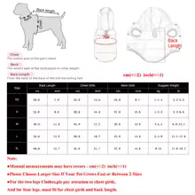 Manteau pour petit chien | Petit Ourson