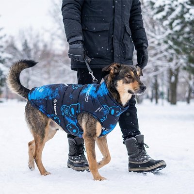 Manteaux pour chien coupe ergonomique ajustement parfait 