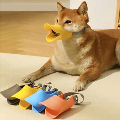 Muselière chien conception à sangle ajustable 