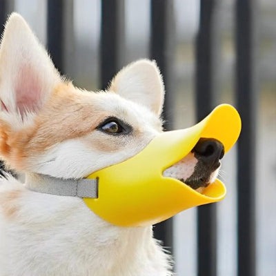 Muselière chien design mignon en forme de bec de canard 