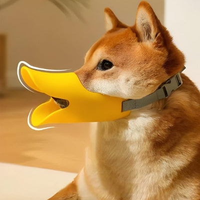 Muselière chien offre un ajustement leger, doux et elastique 