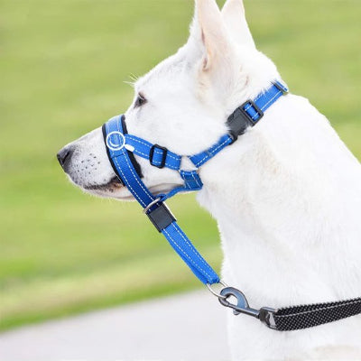 Muselière chien​ résistante aux intempéries