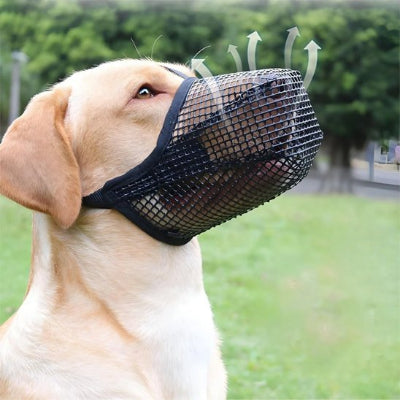 Muselière chien système d'attache ajustable