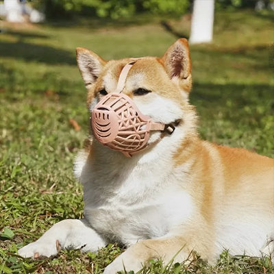 Muselière pour chien ajustable pour chiots et grands chiens 