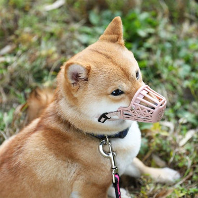 Muselière pour chien permet de contrôler et de maîtriser les chiens.
