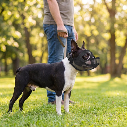 Muselière pour chien​ possibilité de boire